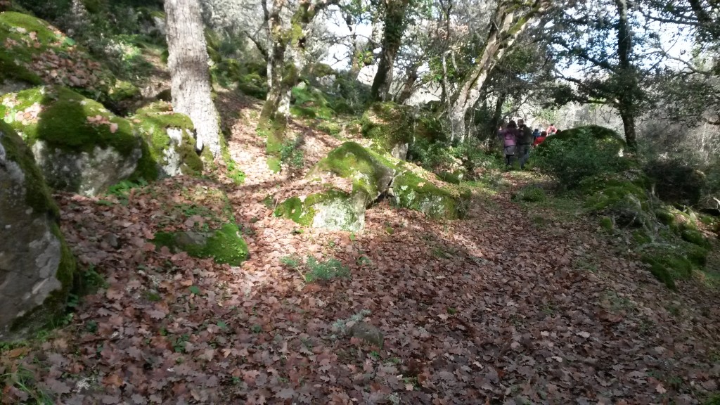 sentiero foresta burgos trekking sardegna